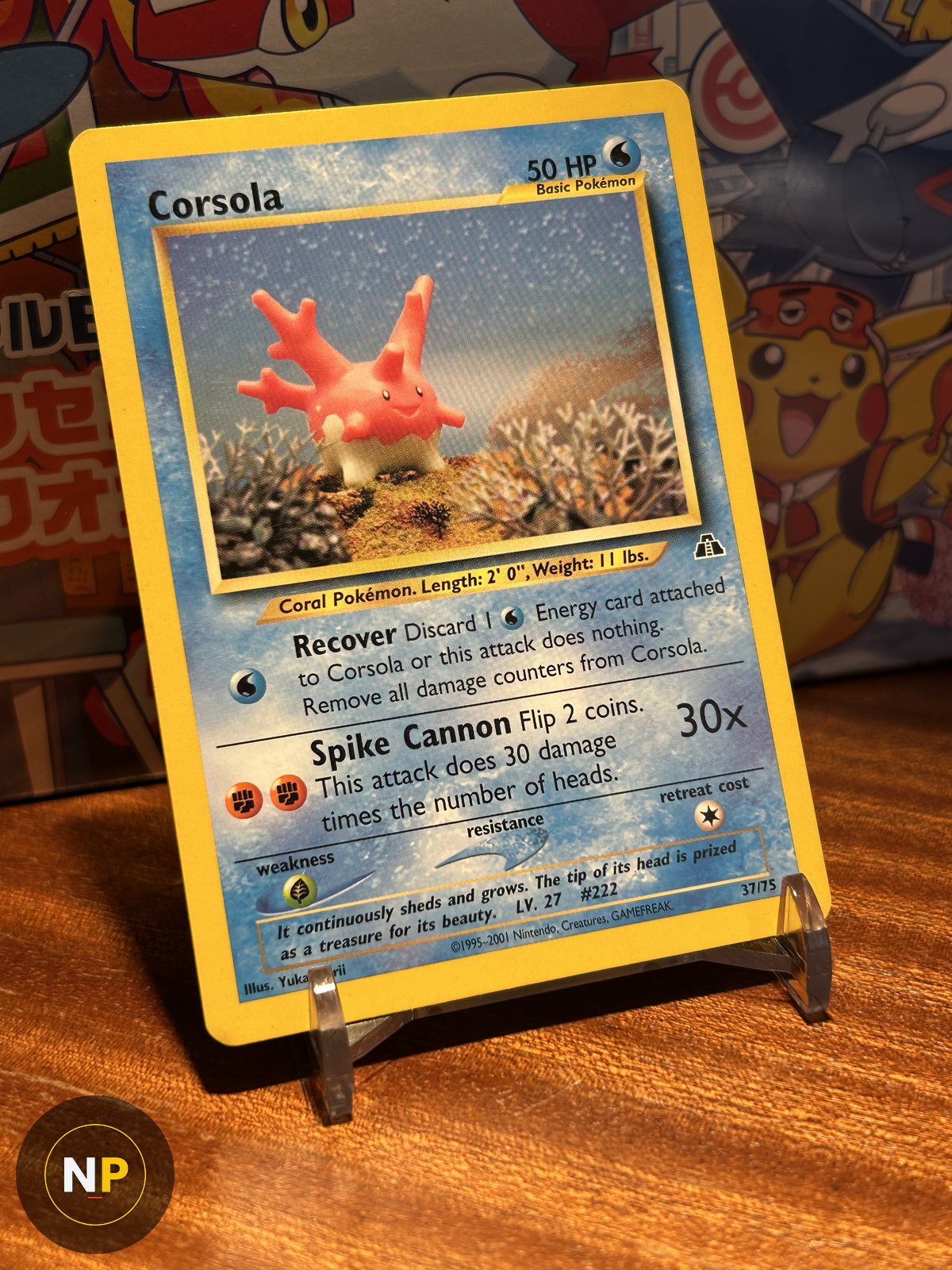 Corsola 37/75