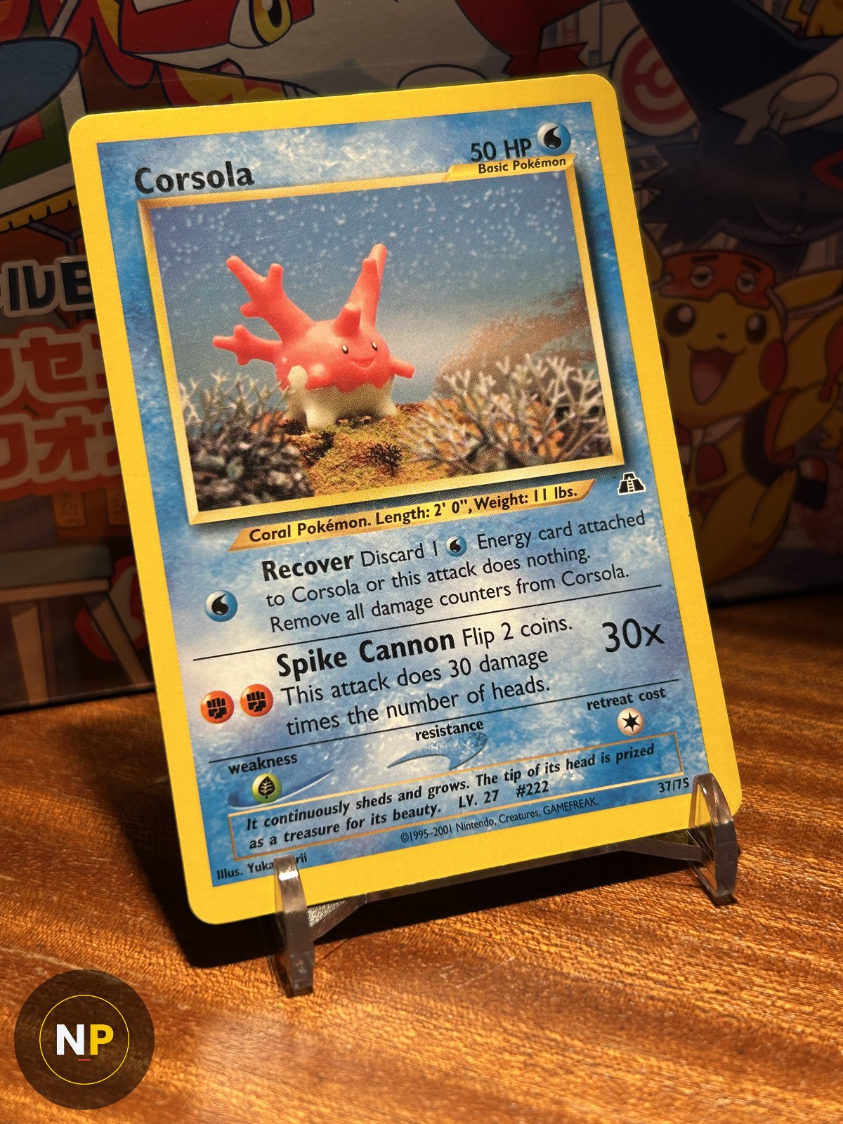 Corsola 37/75