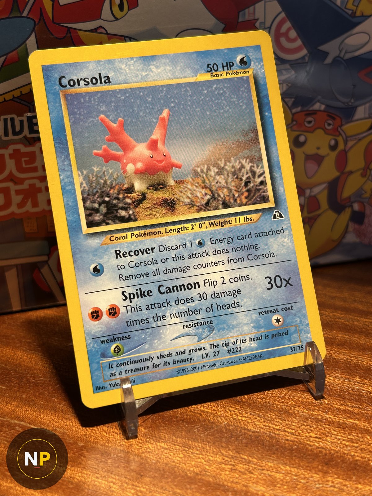 Corsola 37/75