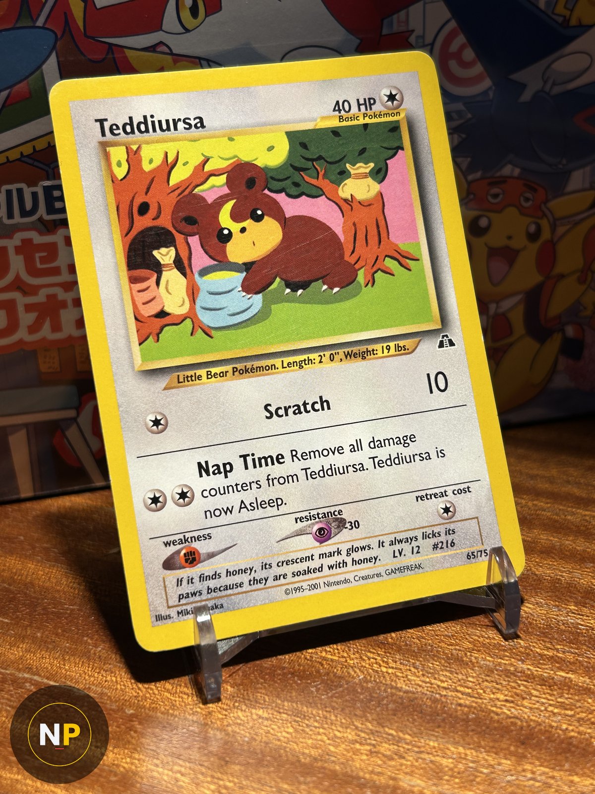 Teddiursa 65/75