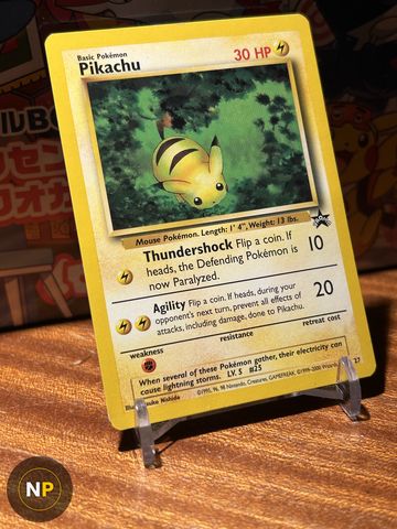 Pikachu 27