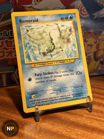 Remoraid 80/105