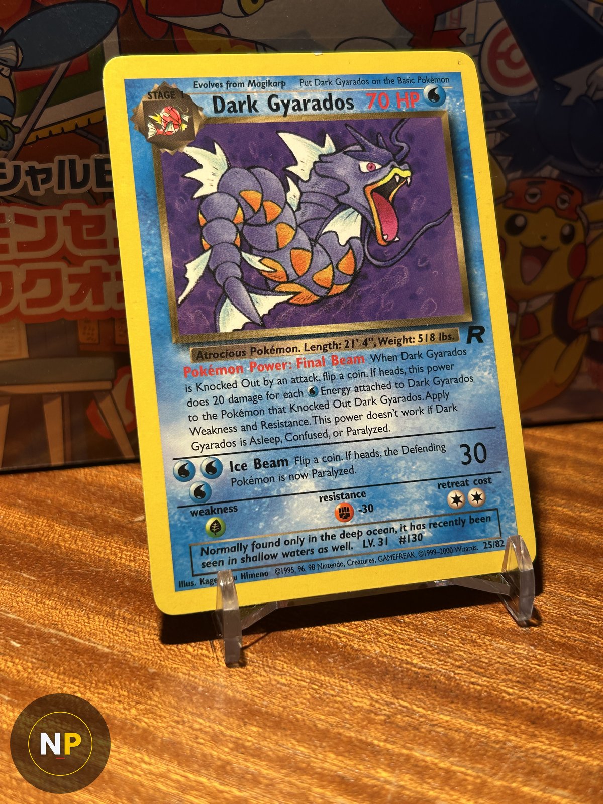 Dark Gyarados 25/82